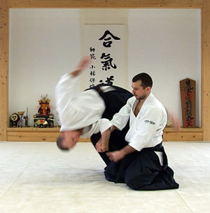 aikido 10 Beladiri utama di dunia